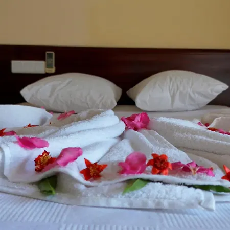 Otel Sun Shine Mir